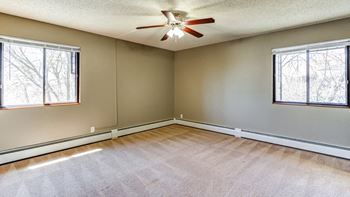 Ceiling fan